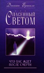 Спасенный светом. Что вас ждет после смерти - Бринкли Дэннион (первая книга TXT) 📗