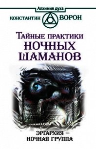 Тайные практики ночных шаманов. Эргархия – Ночная группа - Ворон Константин (книга читать онлайн бесплатно без регистрации TXT) 📗