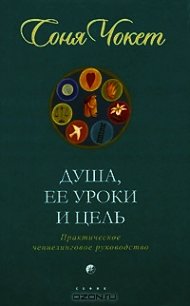 Душа, ее уроки и цель. Практическое ченнелинговое руководство - Чокет Соня (книги без сокращений .txt) 📗