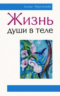 Жизнь души в теле - Шереметева Галина (книги бесплатно без TXT) 📗