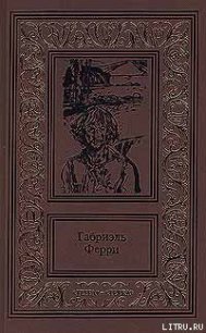 Косталь-индеец - Ферри Габриэль (читать книги без сокращений .TXT) 📗