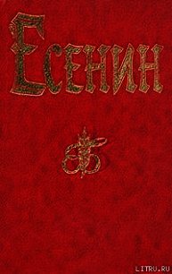 Ленин - Есенин Сергей Александрович (серии книг читать бесплатно txt) 📗