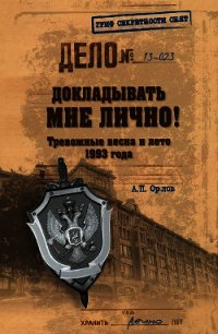 Докладывать мне лично! Тревожные весна и лето 1993 года - Орлов Андрей Александрович