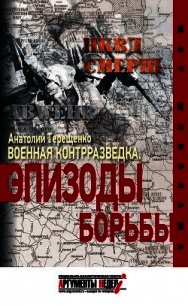 Военная контрразведка. Эпизоды борьбы - Терещенко Анатолий Степанович (серии книг читать онлайн бесплатно полностью .txt) 📗