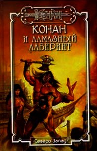 Алмазный лабиринт - Локнит Олаф Бьорн (электронная книга .TXT) 📗