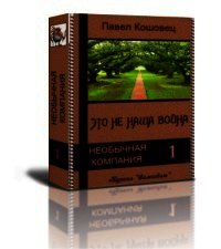 Это не наша война - Кошовец Павел Владимирович (книга бесплатный формат txt) 📗