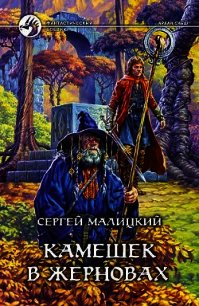 Камешек в жерновах - Малицкий Сергей Вацлавович (читать книги онлайн бесплатно полные версии .txt) 📗