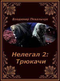 Нелегал-2: Трюкачи (СИ) - Пекальчук Владимир Мирославович (читать книги регистрация txt) 📗