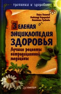 Зеленая энциклопедия здоровья. Лучшие рецепты нетрадиционной медицины - Травинка Валентина (книги бесплатно без онлайн txt) 📗