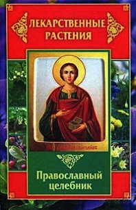 Лекарственные растения. Православный целебник - Литвинова Татьяна Александровна (смотреть онлайн бесплатно книга .TXT) 📗