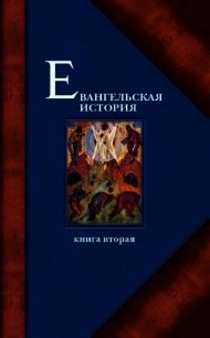 Евангельская история. Книга II - Протоиерей (Матвеевский) Павел Алексеевич (книги онлайн полные txt) 📗