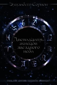 Двенадцать жнецов звездного неба (СИ) - Сорион Элизабет (книги онлайн бесплатно серия .txt) 📗