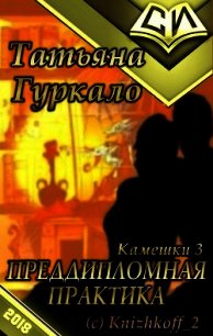 Преддипломная практика (СИ) - Гуркало Татьяна Николаевна (читать книги txt) 📗