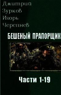 Бешеный прапорщик. Части 1-19 (СИ) - Зурков Дмитрий (книги онлайн бесплатно серия .TXT) 📗