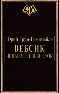 Вебсик. Испытательный срок (СИ) - Грум-Гржимайло Юрий Владимирович (книги онлайн полные TXT) 📗