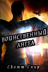 Воинственный ангел (ЛП) - Спир Скотт (бесплатные серии книг TXT) 📗