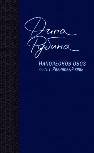 Наполеонов обоз. Книга 1. Рябиновый клин - Рубина Дина Ильинична (читаем книги онлайн без регистрации TXT) 📗