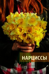 Нарциссы (СИ) - "Scarlet Heath" (книга бесплатный формат txt) 📗