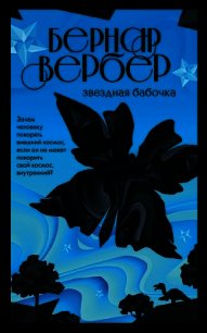 Звездная бабочка - Вербер Бернар (читать книги онлайн бесплатно полностью без txt) 📗
