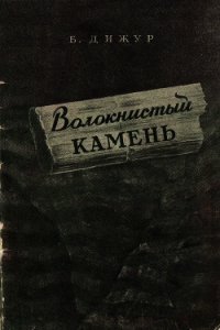 Волокнистый камень - Дижур Белла Абрамовна (читать книги онлайн бесплатно серию книг txt) 📗