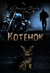 Котёнок (СИ) - Belov Dmitry (лучшие книги .txt) 📗