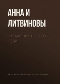 Отражение Нового года - Литвиновы Анна и Сергей (книги без регистрации .TXT) 📗