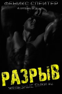 Разрыв (ЛП) - Слейтер Феникс (читать полные книги онлайн бесплатно txt) 📗