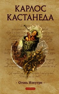 Огонь изнутри - Кастанеда Карлос Сезар Арана (книга регистрации .TXT) 📗