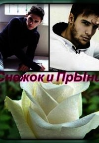 Снежок и Прынц (СИ) - Финенко Наталья Александровна "Ната04" (читаемые книги читать онлайн бесплатно полные TXT) 📗