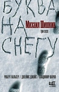 Буква на снегу - Шишкин Михаил Павлович (читаем книги онлайн TXT) 📗