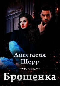 Брошенка - Шерр Анастасия (книга регистрации TXT) 📗