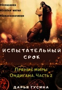 Испытательный срок. (СИ) - Гусина Дарья (книги бесплатно без онлайн TXT) 📗