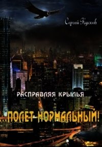 Полет нормальный (СИ) - Кусков Сергей Анатольевич (читать книги полные TXT) 📗