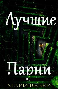 Лучшие Парни (ЛП) - Вебер Мари (версия книг TXT) 📗